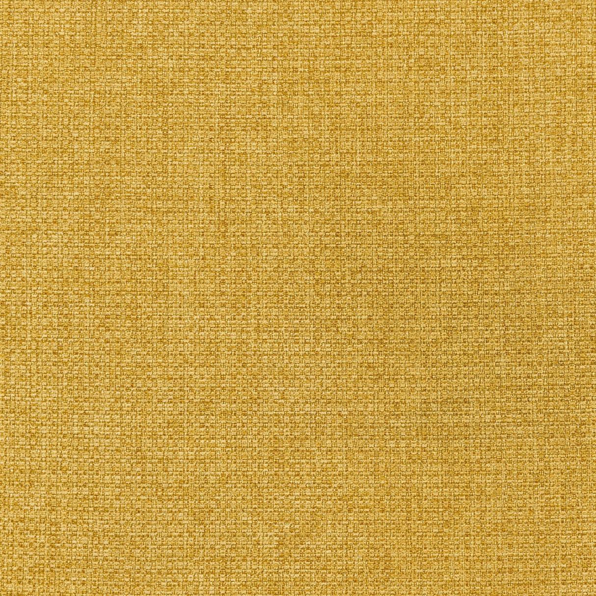 Leon Mustard Yellow Upholstered Accent Swivel Barrel Chair by Coaster at Eve Furniture