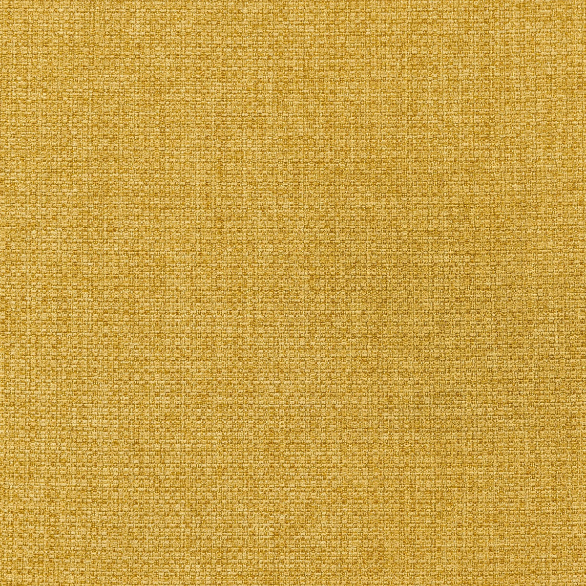 Leon Mustard Yellow Upholstered Accent Swivel Barrel Chair by Coaster at Eve Furniture