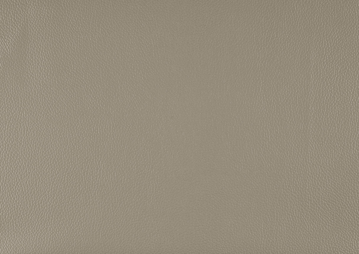 Lewes Latte Leather Loveseat by Homelegance at Eve Furniture