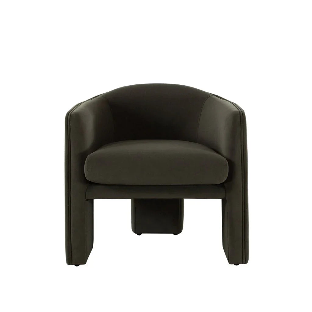 Leyah Performance Velvet Green Accent Chair by Diamond Sofa at Eve Furniture