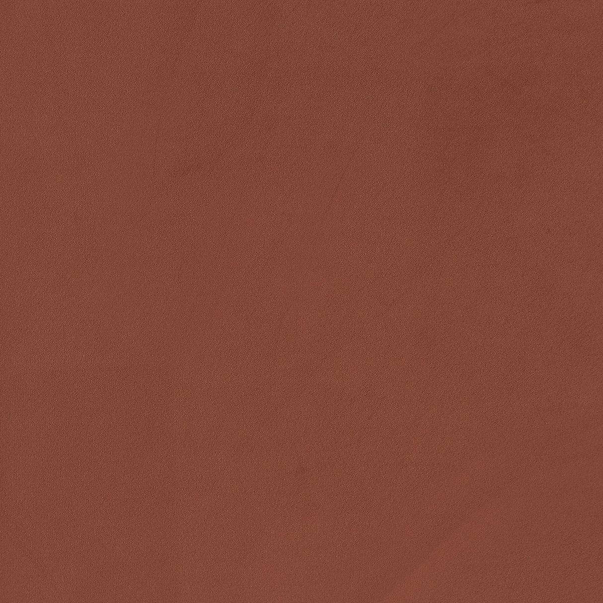 Liana Rust Orange Upholstered Roll Arm Accent Armchair by Coaster at Eve Furniture