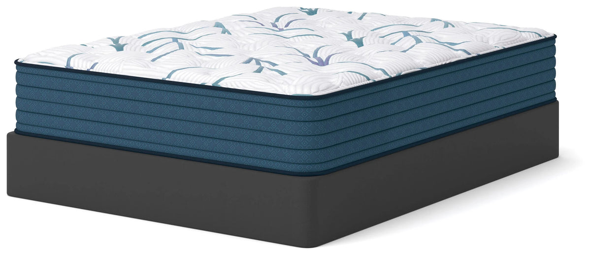 Limited Edition Plush PT 3.0 Full Mattress