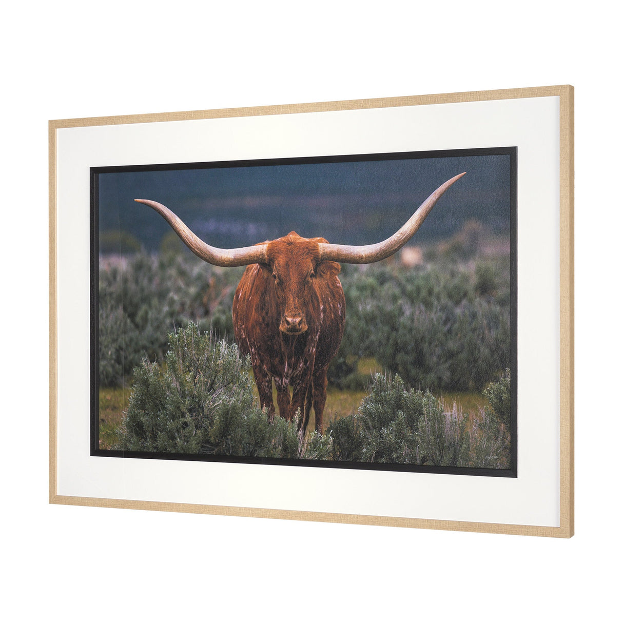 Longhorn 5 by Gary Blatter a Hand Embellished Framed Photo Art Print Matted under Glass by Mercana at Eve Furniture