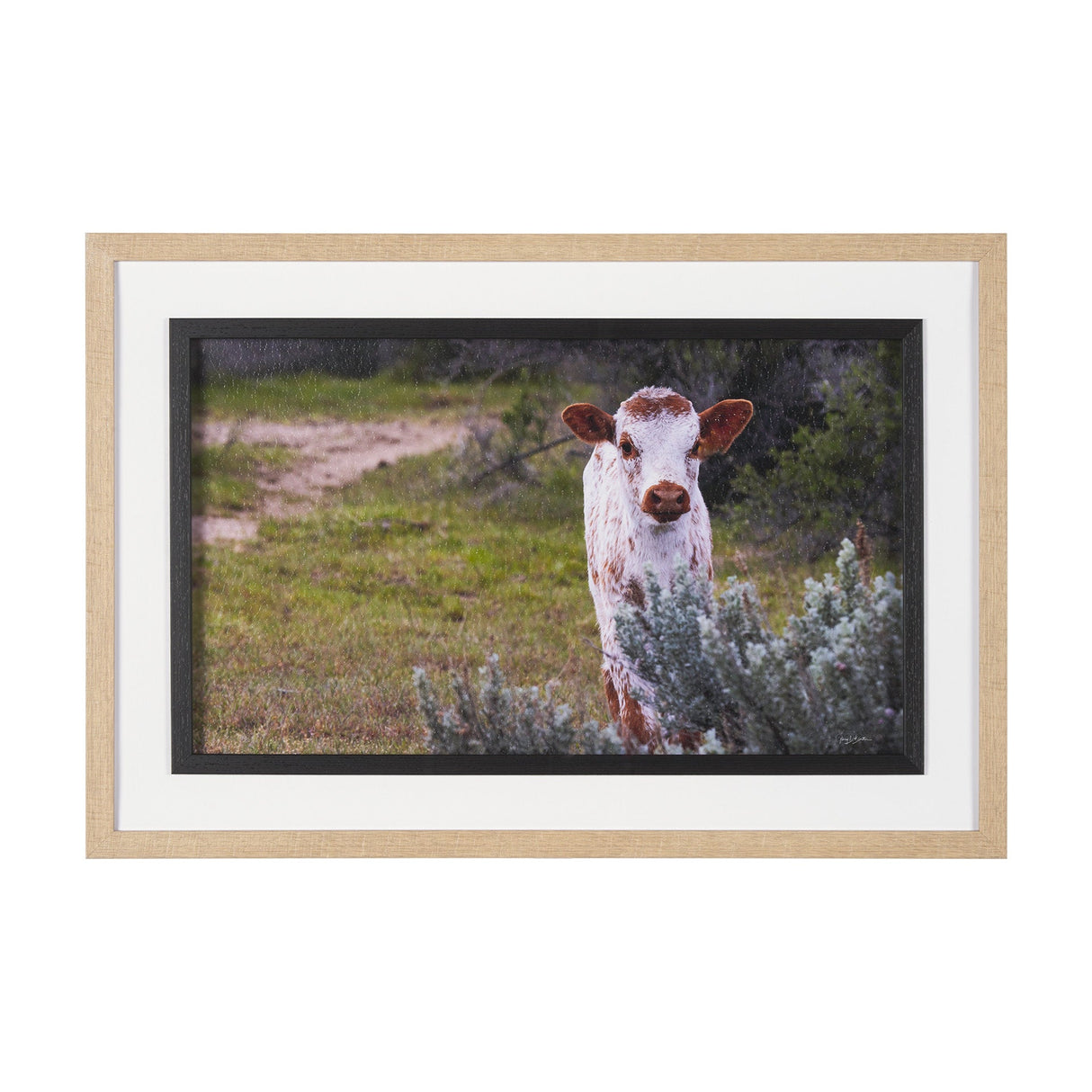 Longhorn 7 by Gary Blatter a Hand Embellished Framed Photo Art Print Matted under Glass by Mercana at Eve Furniture