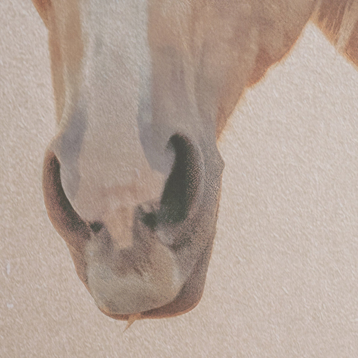 Looking Back by Nathan Larson FramedPhoto Print Matted Under Glass by Mercana at Eve Furniture