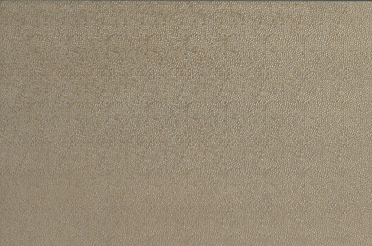 Loudon Champagne Metallic Mirror (Mirror Only) with LED Lighting by Homelegance at Eve Furniture