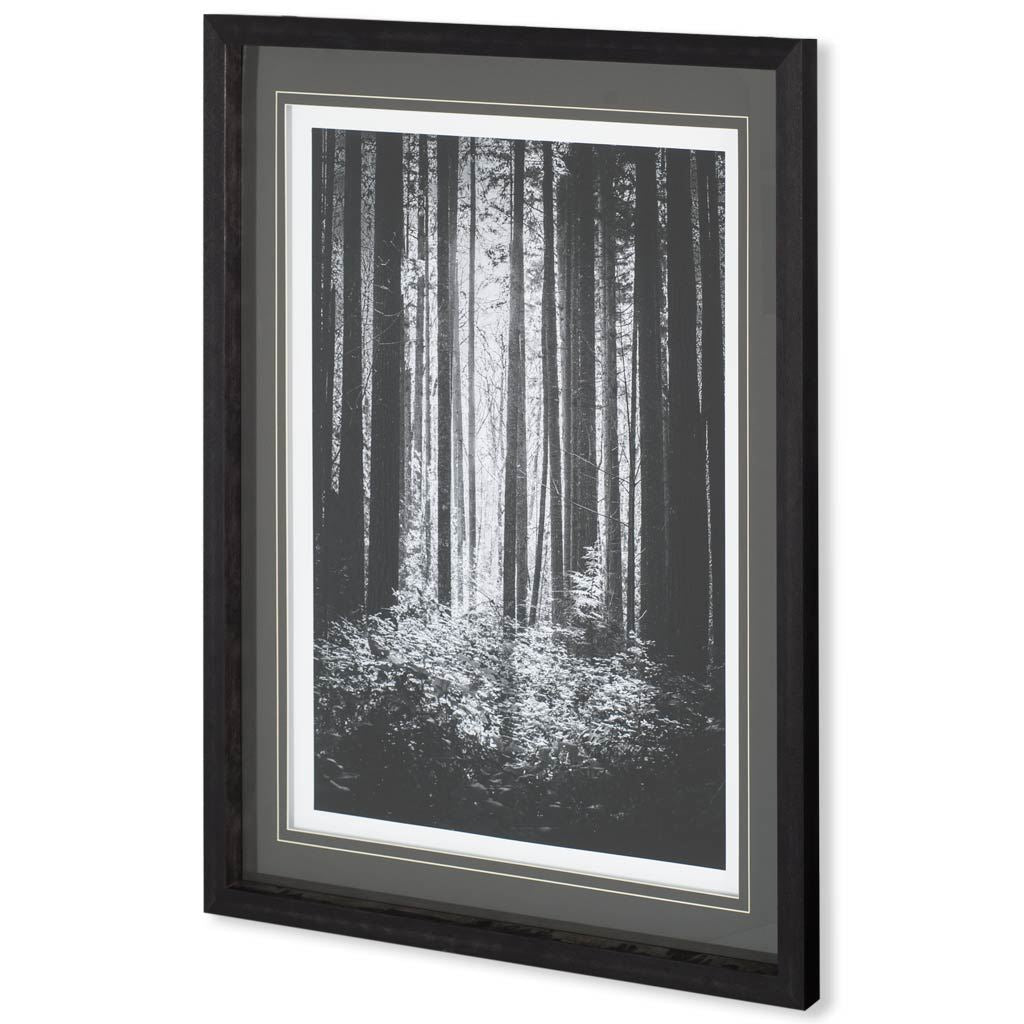 Lowland Winter Forest No 13, Tiger Mountain by Bisig, Steve a Framed Photo Art Print Matted under Gl by Mercana at Eve Furniture