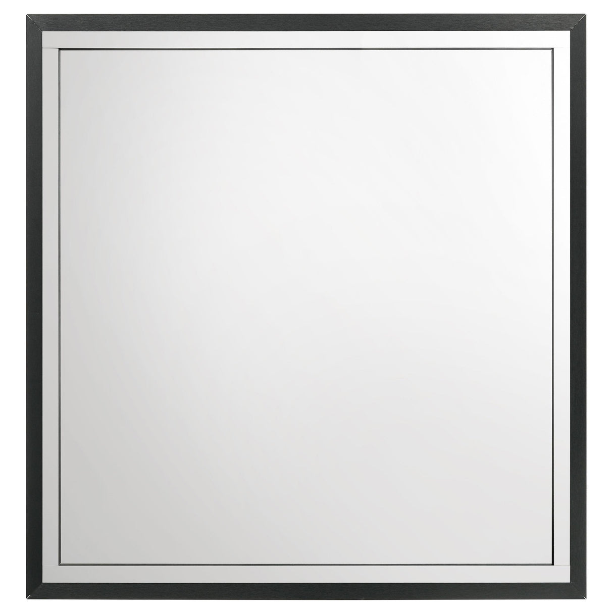 Lucia Black Dresser Mirror by Coaster at Eve Furniture