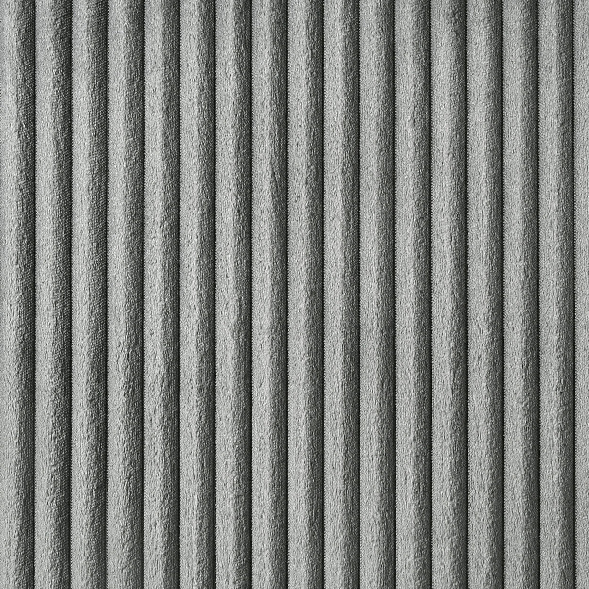 Lucia Grey 61-inch Upholstered Queen Panel Bed by Coaster at Eve Furniture