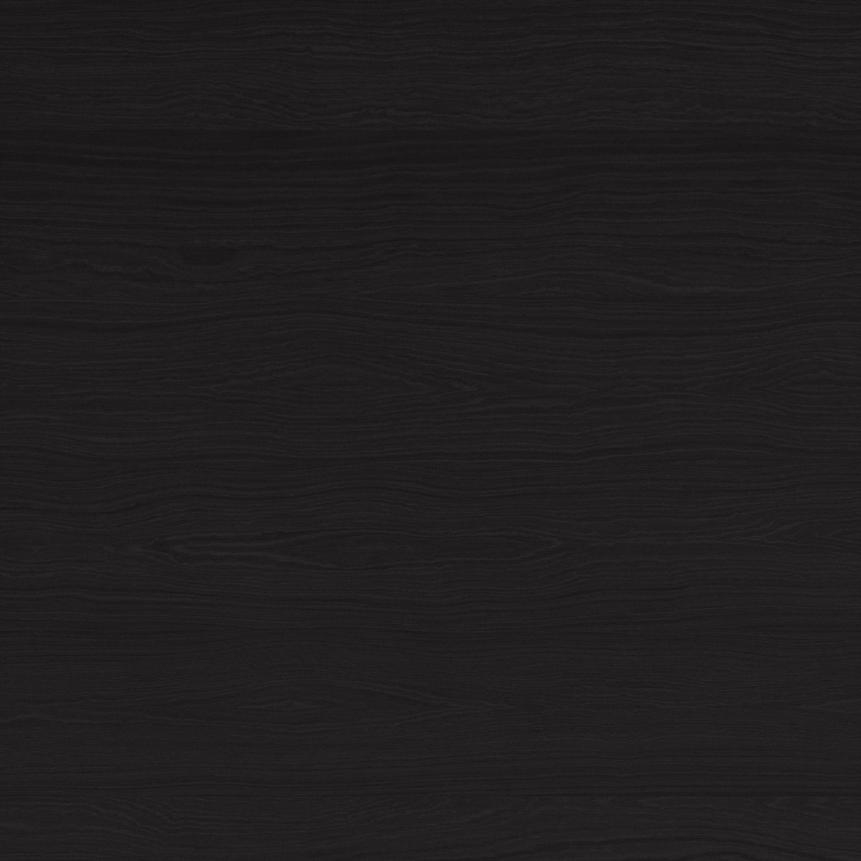 Luum Black Queen Platform Bed Frame by Zuomod at Eve Furniture