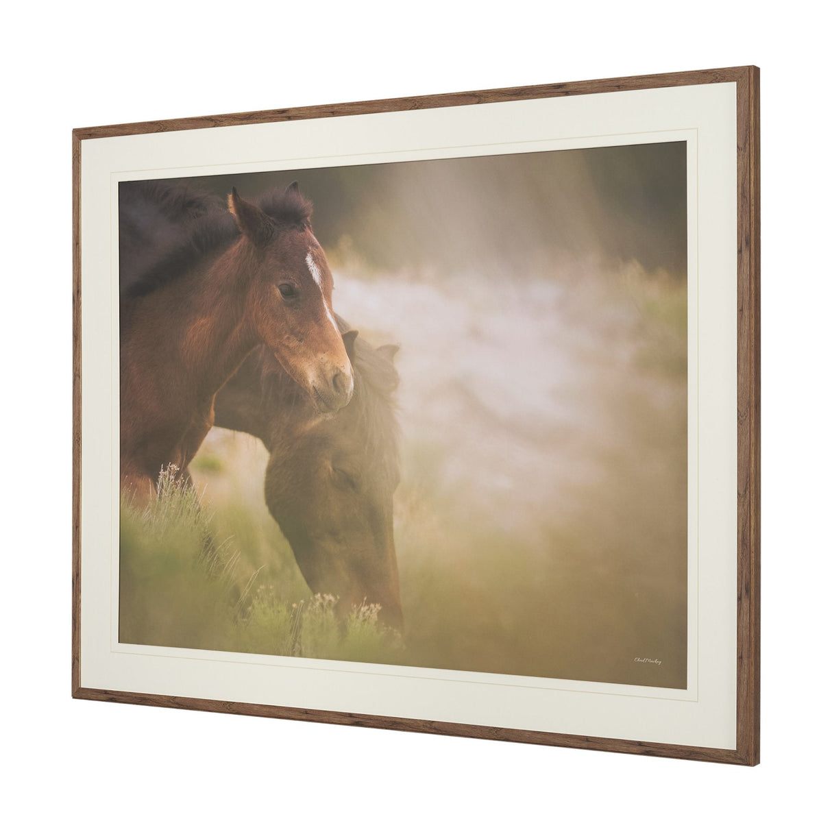 Magic by Chad Mackay FramedPhoto Print Matted under Glass by Mercana at Eve Furniture