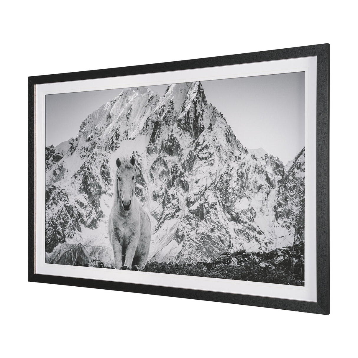 Majestic Mane - Snowscape by Matt Roseveare Framed Art Print Matted under Glass by Mercana at Eve Furniture