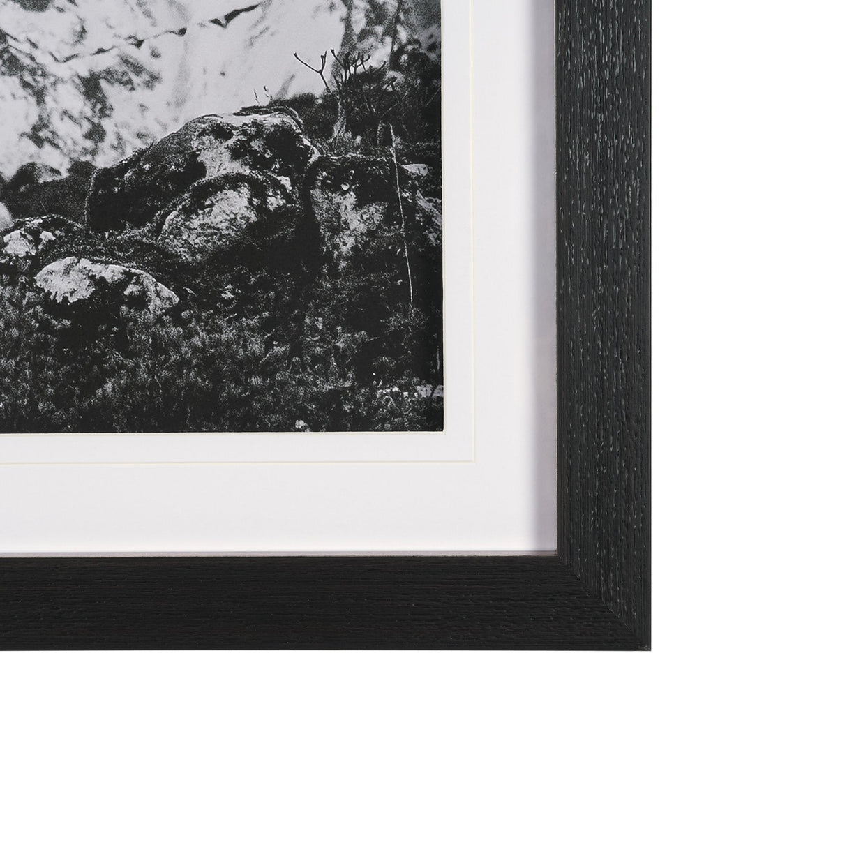 Majestic Mane - Snowscape by Matt Roseveare Framed Art Print Matted under Glass by Mercana at Eve Furniture