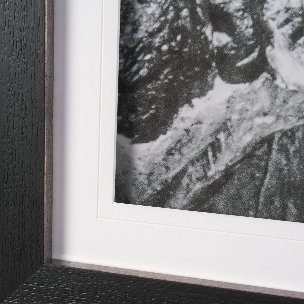 Majestic Mane - Snowscape by Matt Roseveare Framed Art Print Matted under Glass by Mercana at Eve Furniture