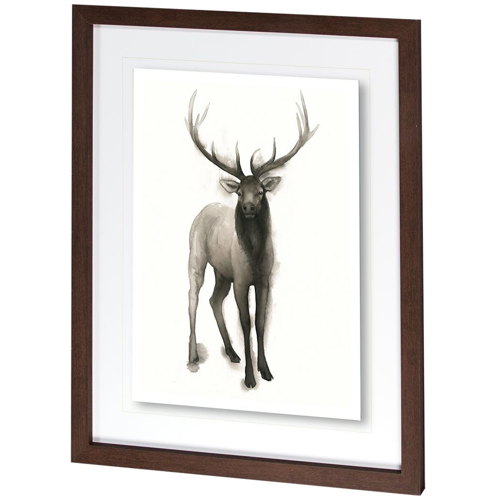 Majestic Wildlife II by Grace Popp a Framed Art Print Matted under Glass by Mercana at Eve Furniture