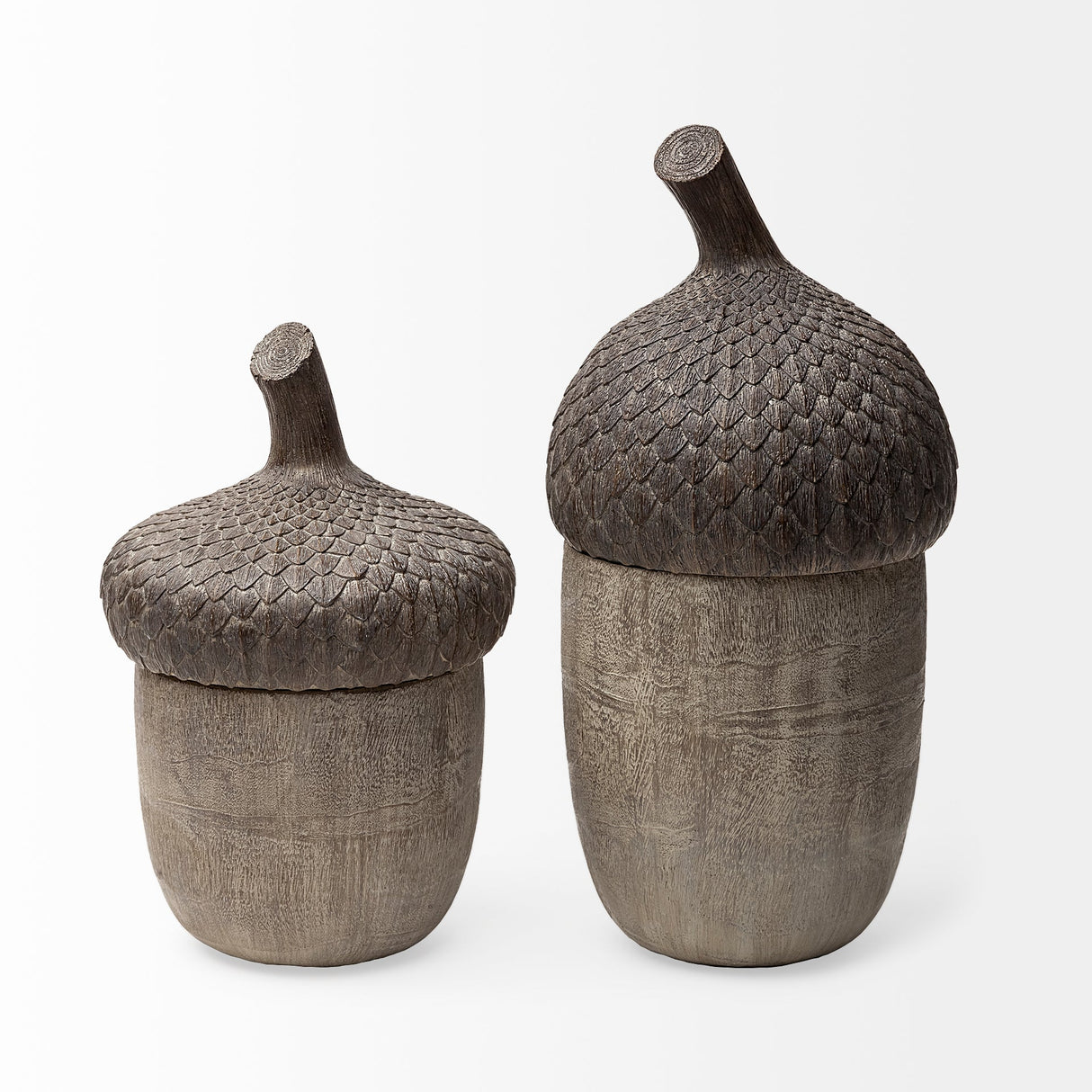 Mandor I (Small) Brown Resin Acorn Box by Mercana at Eve Furniture