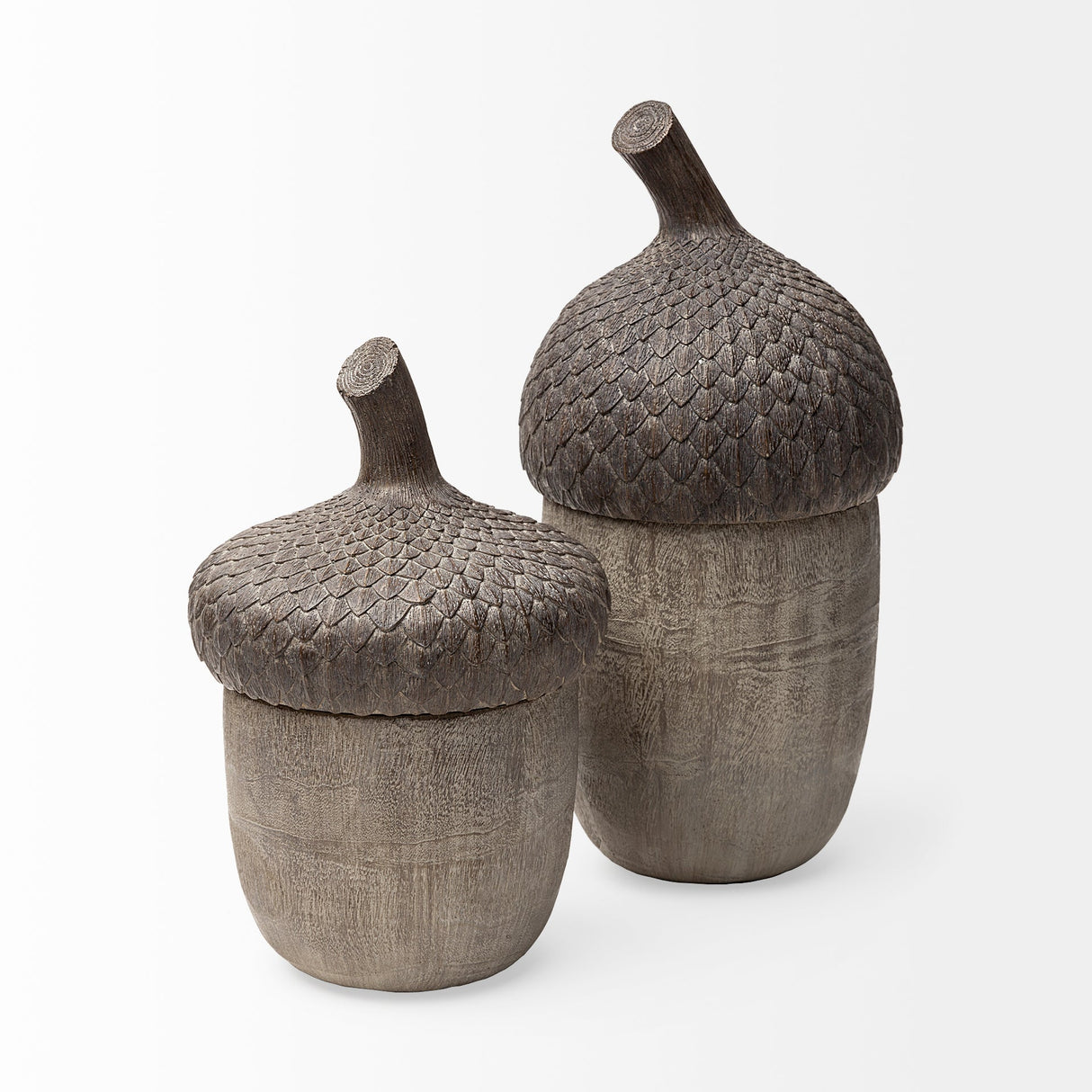 Mandor I (Small) Brown Resin Acorn Box by Mercana at Eve Furniture