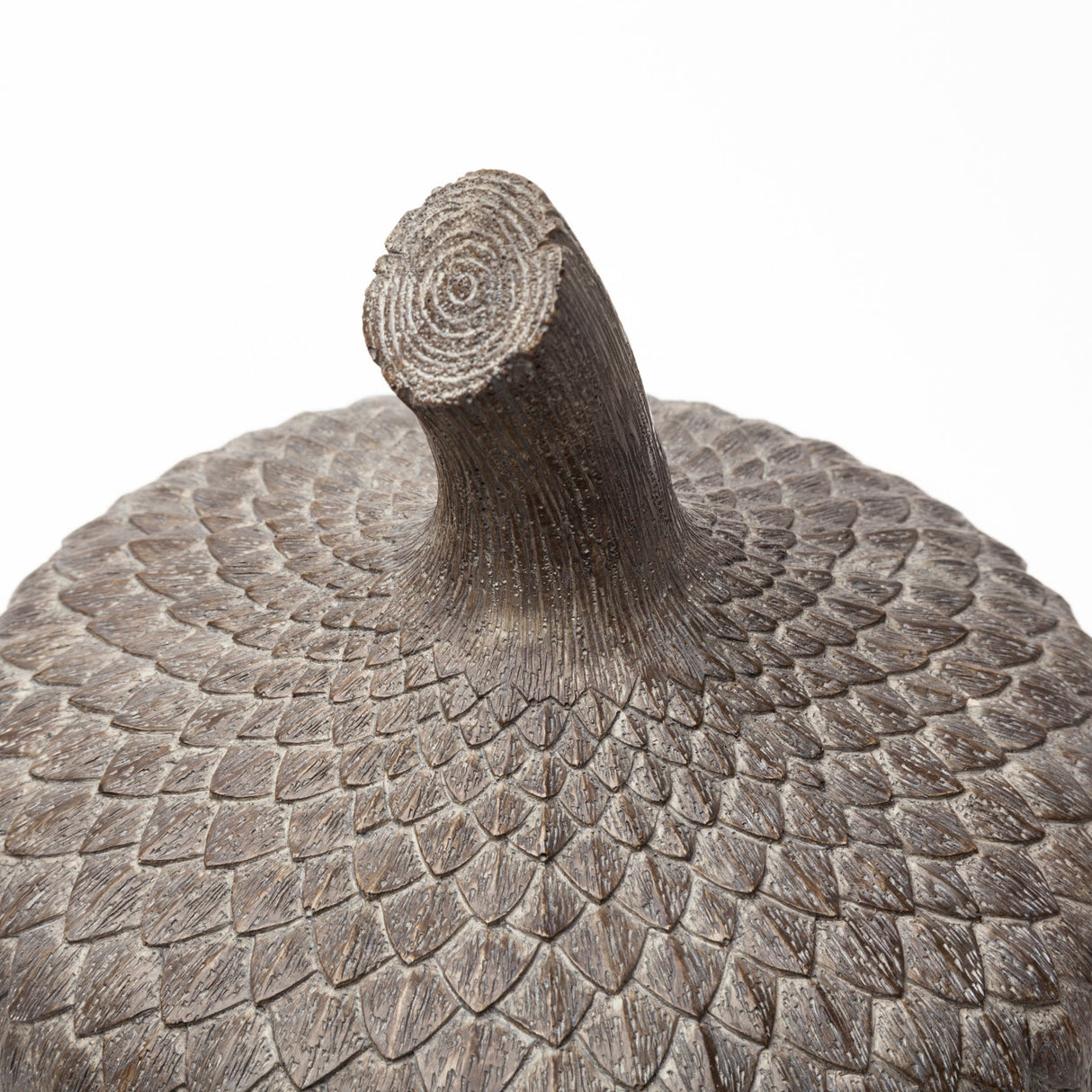 Mandor I (Small) Brown Resin Acorn Box by Mercana at Eve Furniture