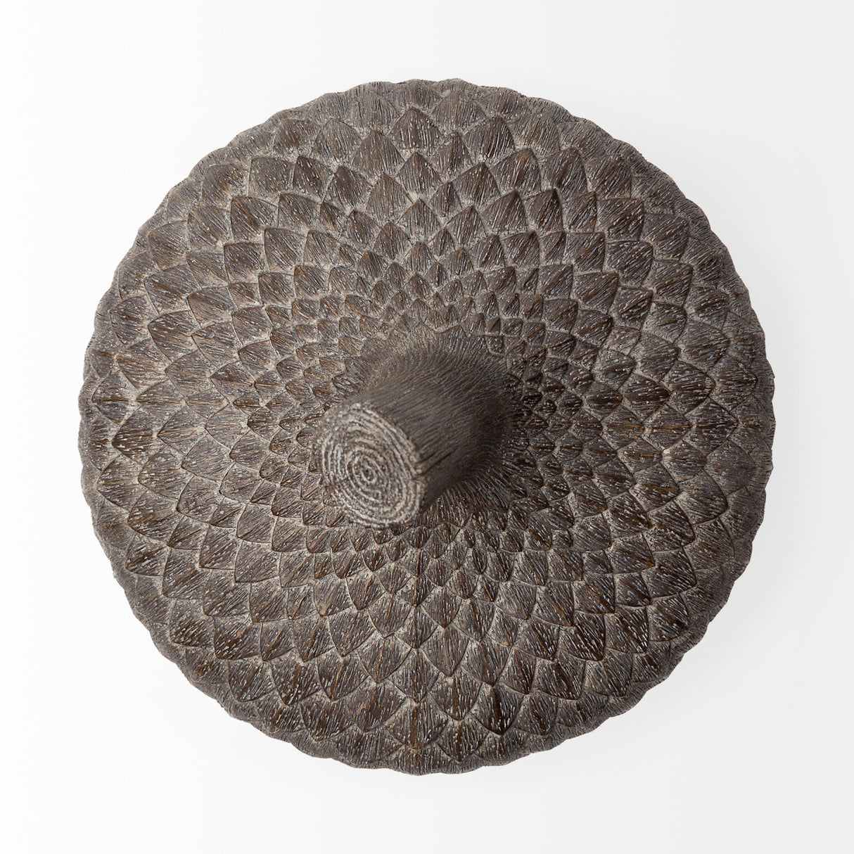 Mandor I (Small) Brown Resin Acorn Box by Mercana at Eve Furniture