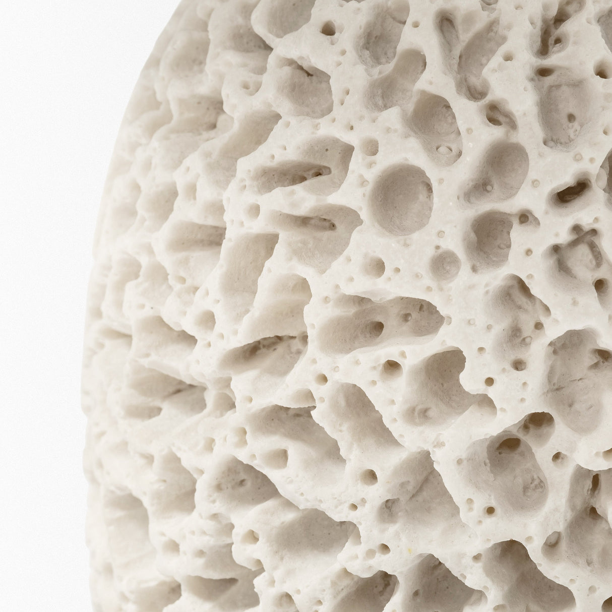Mariam Cream Coral-Inspired Base Table Lamp by Mercana at Eve Furniture