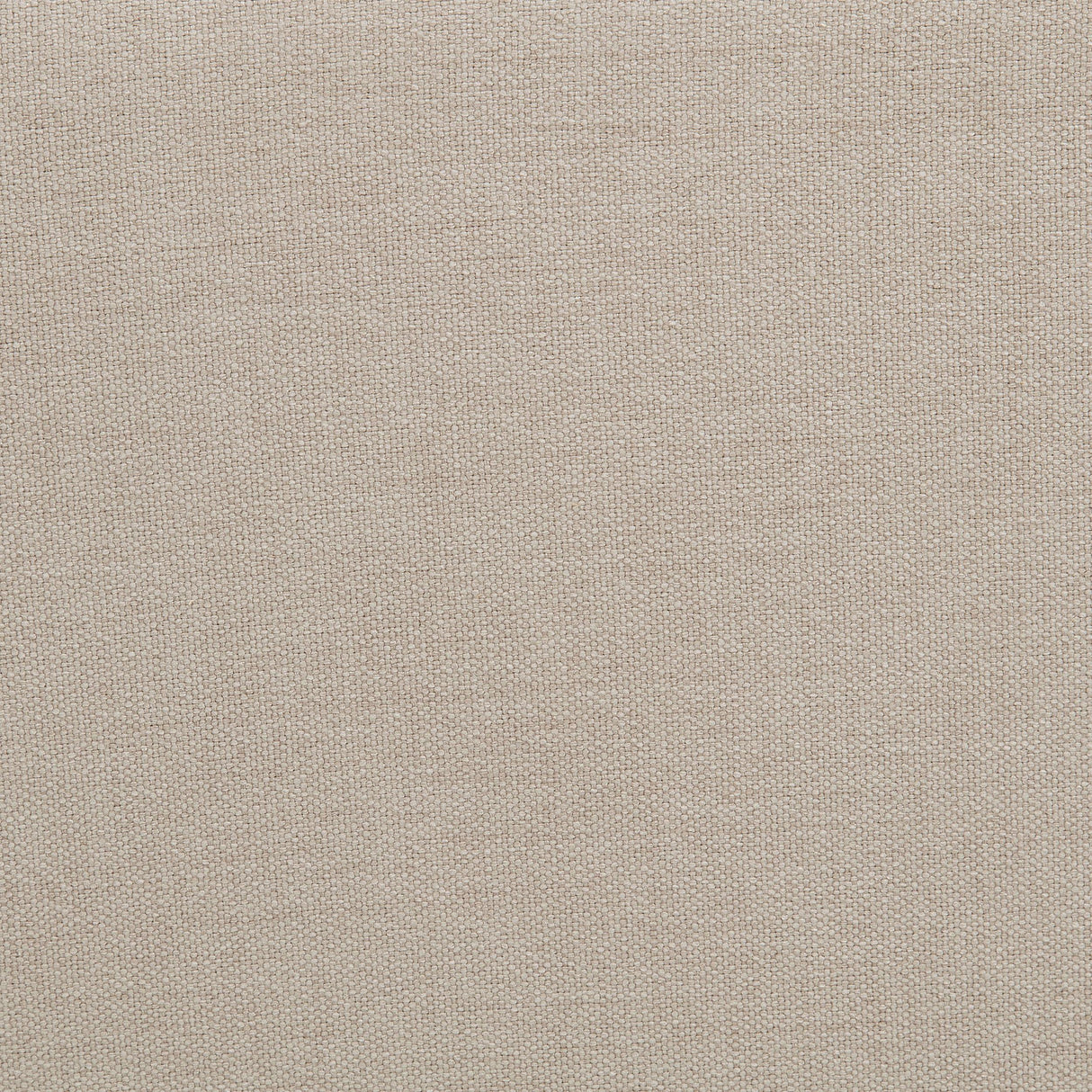 Marsha Latte 52-inch Upholstered Entryway Accent Bench by Coaster at Eve Furniture