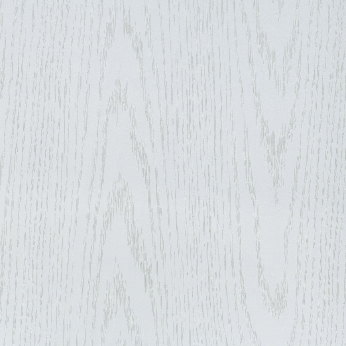 Mattison White 4-Panel Room Divider Folding Shoji Screen by Coaster at Eve Furniture
