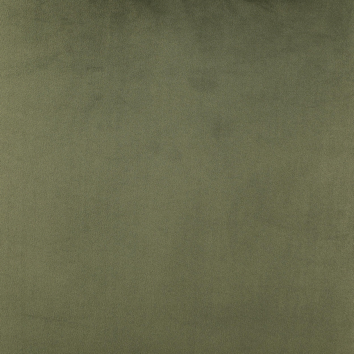 Mayette Olive Dining Side Chair, Set of 2 by Coaster at Eve Furniture