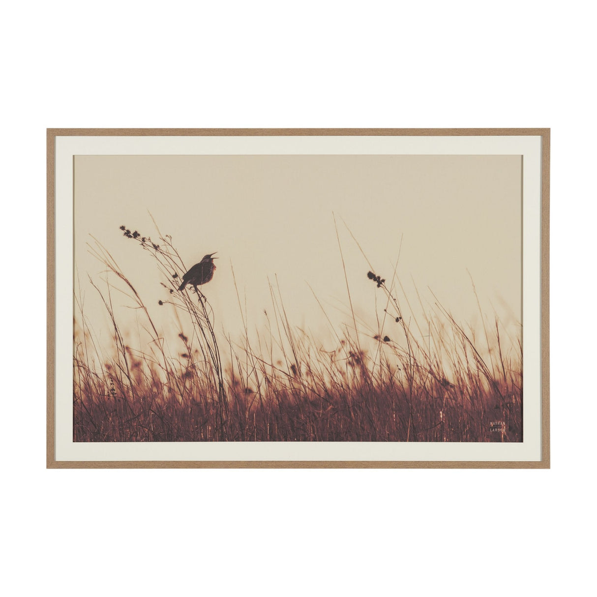 Meadowlark Call Antique by Nathan Larson FramedPhoto Matted under Glass by Mercana at Eve Furniture