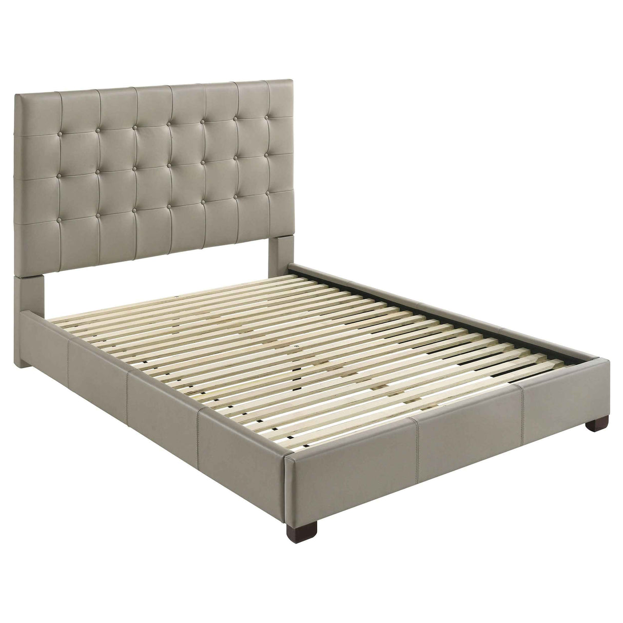 Medley Tan Genuine Leather Queen Panel Platform Bed by Coaster at Eve Furniture