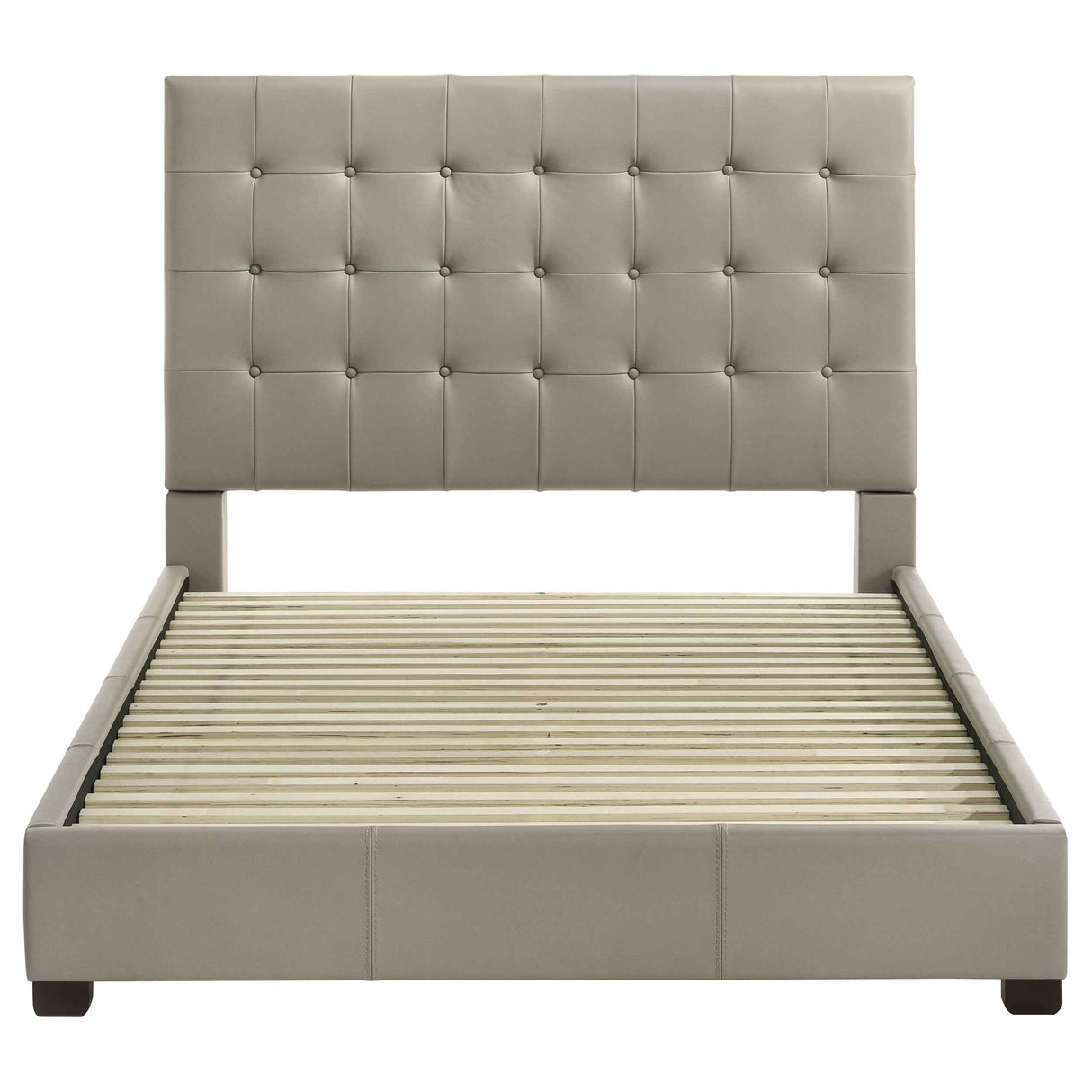 Medley Tan Genuine Leather Queen Panel Platform Bed by Coaster at Eve Furniture