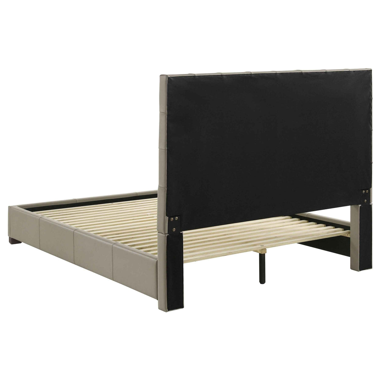 Medley Tan Genuine Leather Queen Panel Platform Bed by Coaster at Eve Furniture