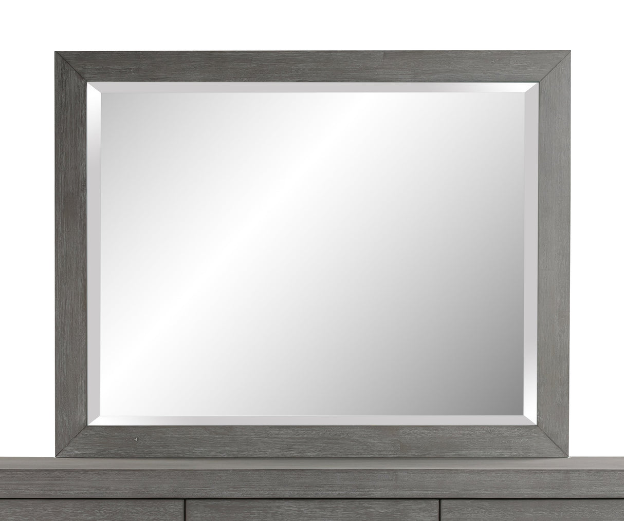 Melbourne Beveled Glass Mirror in Mineral by Modus Furniture at Eve Furniture