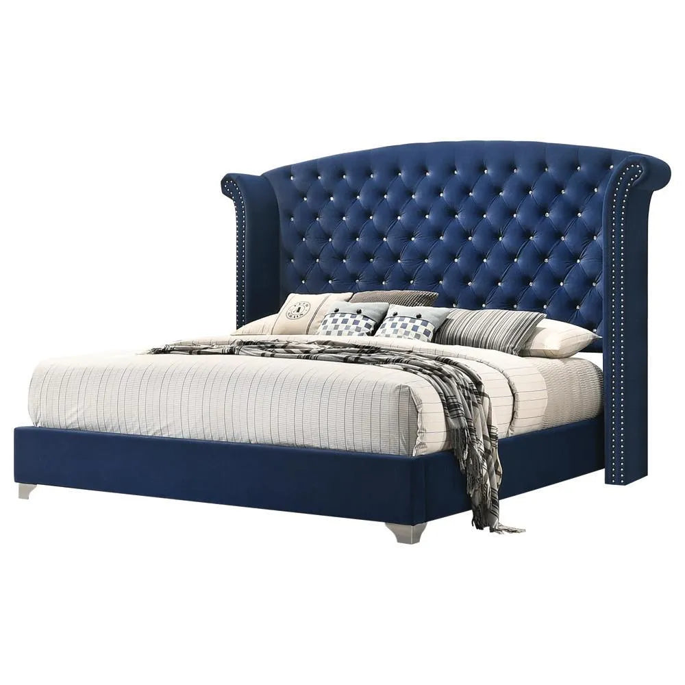 Melody California King Wingback Upholstered Bed Pacific Blue by Coaster at Eve Furniture