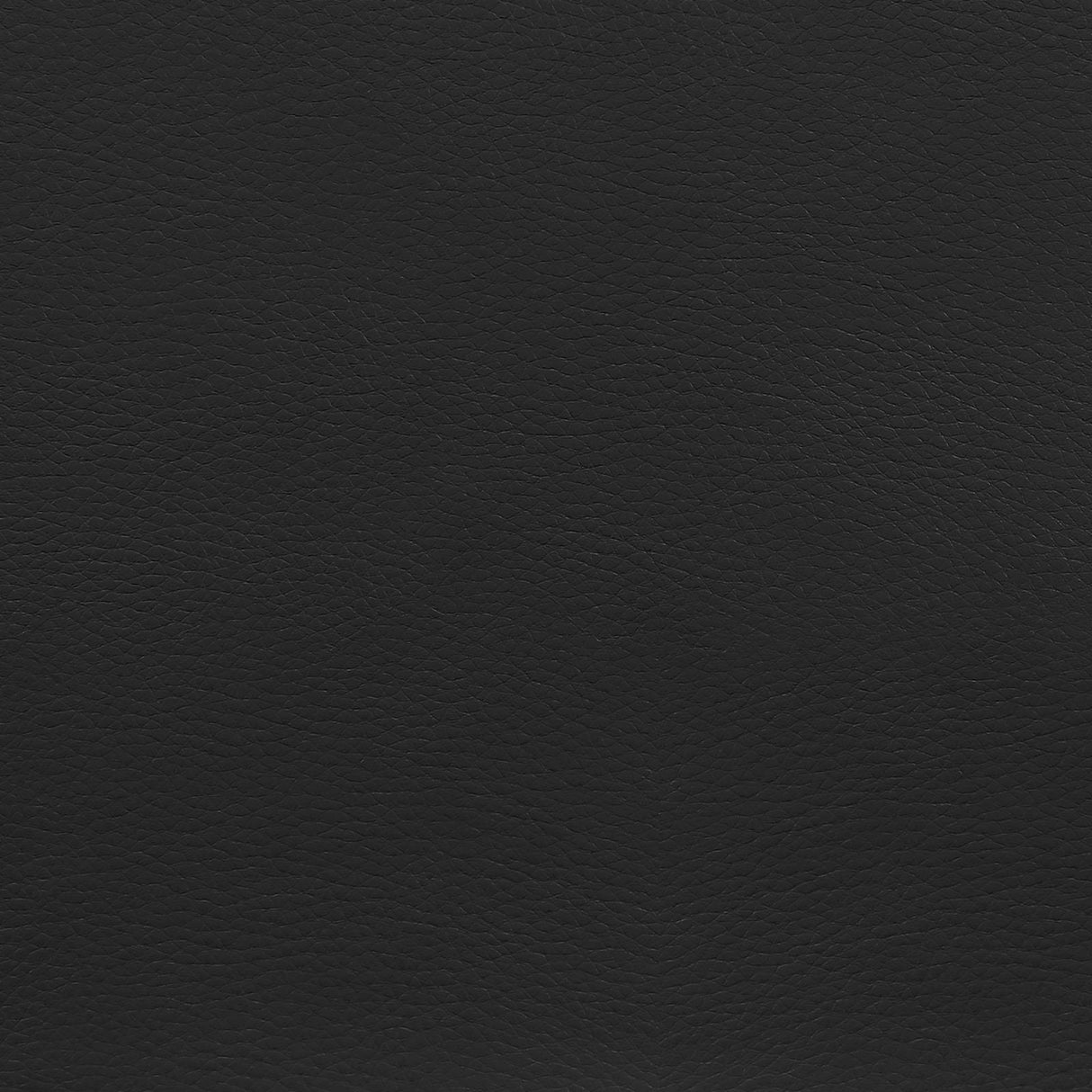 Minato Black Adjustable Height Office Chair by Coaster at Eve Furniture