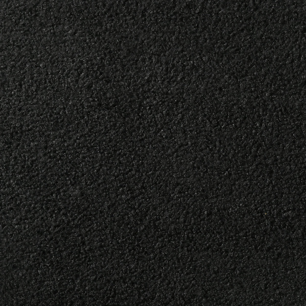 Miranda Black 55-inch Upholstered Queen Panel Bed by Coaster at Eve Furniture