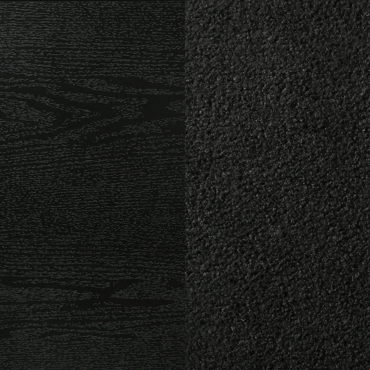 Miranda Black 55-inch Upholstered Twin Panel Bed by Coaster at Eve Furniture