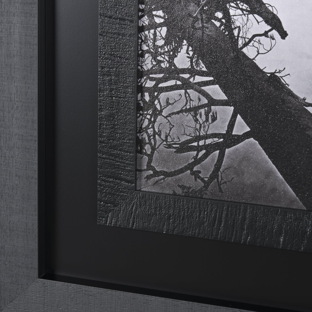 Mirror Lake by Carleton E Watkins a Hand Embellished Textured Framed Photo Art Print by Mercana at Eve Furniture