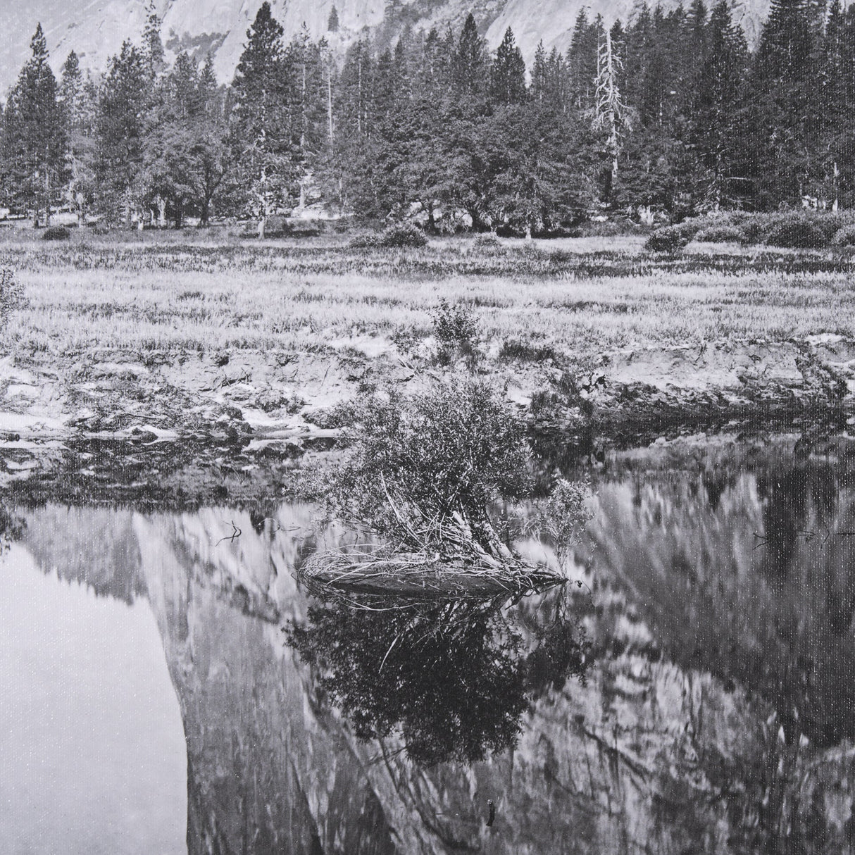 Mirror View by Carleton E Watkins a Hand Embellished Textured Framed Photo Art Print by Mercana at Eve Furniture