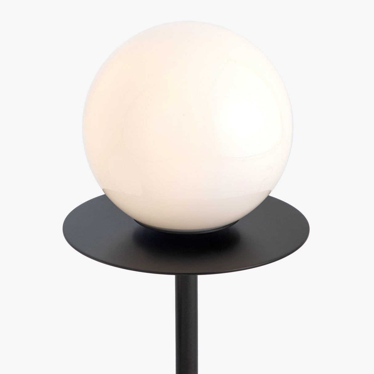 Modern Globe Table Lamp by Co.House Designs at Eve Furniture