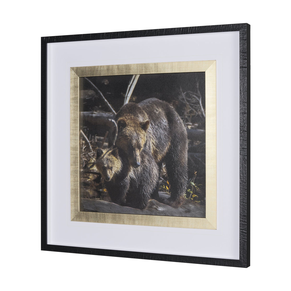 Mom and Cub by Chad Mackay a Hand Embellished Textured Framed Photo Art Print Matted under Glass by Mercana at Eve Furniture