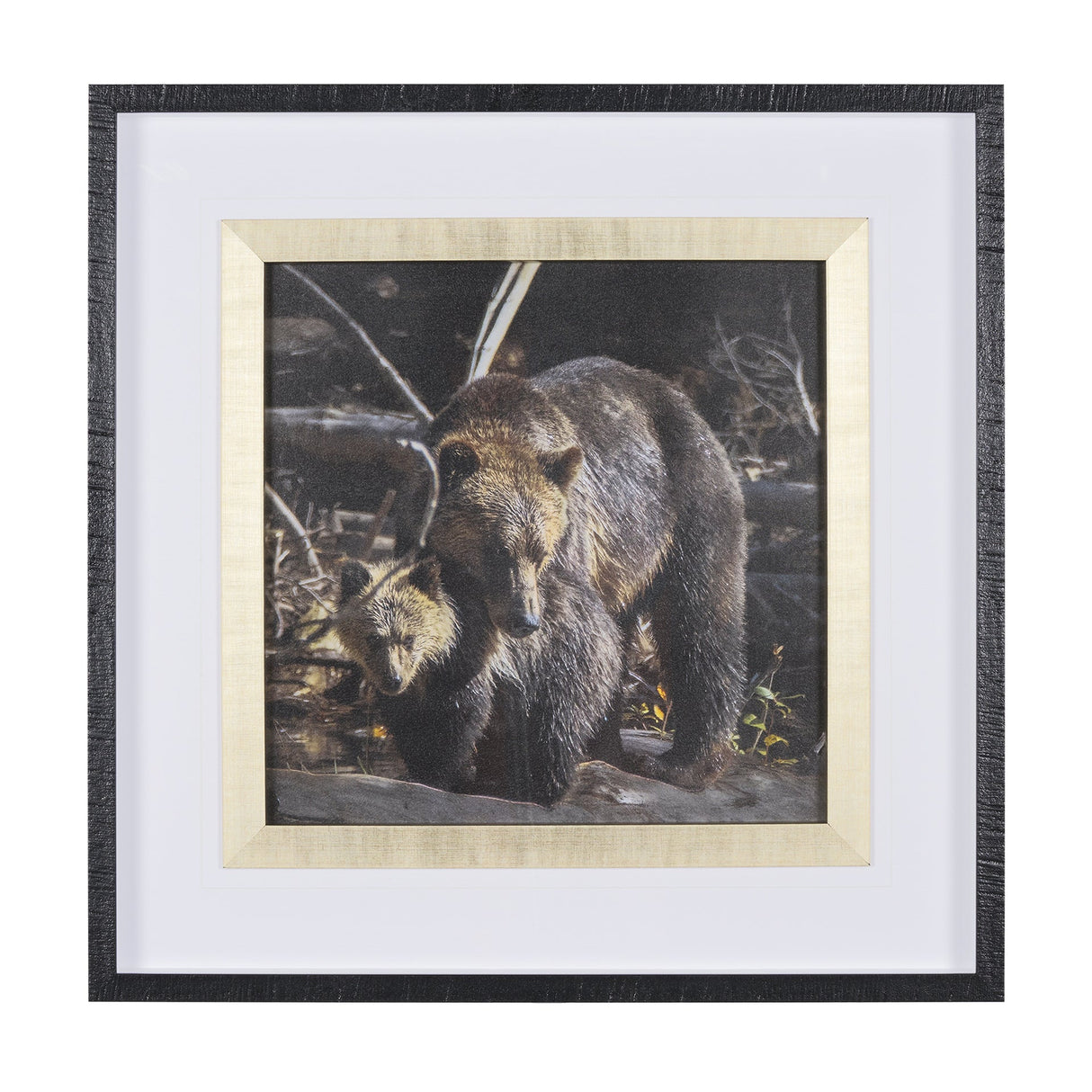 Mom and Cub by Chad Mackay a Hand Embellished Textured Framed Photo Art Print Matted under Glass by Mercana at Eve Furniture