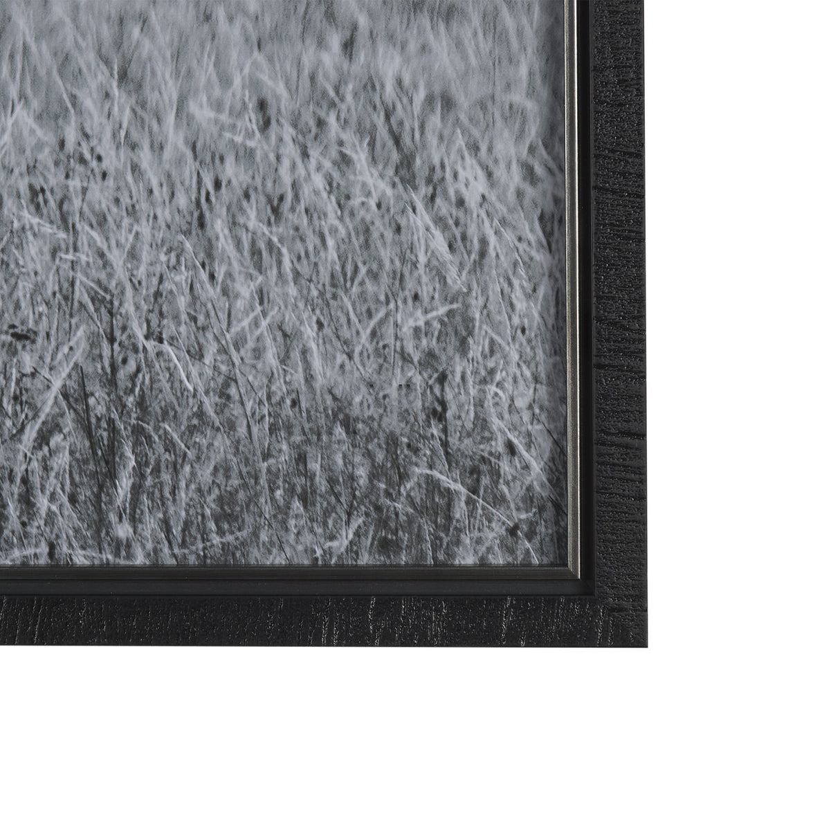 Montana Moves by Mercana Studio a Framed Photo Art Print Matted under Glass by Mercana at Eve Furniture