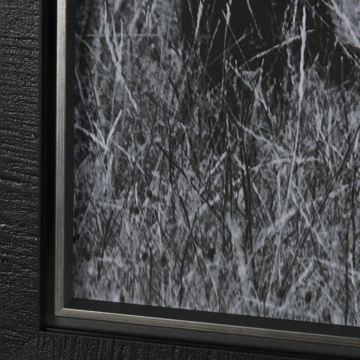 Montana Moves by Mercana Studio a Framed Photo Art Print Matted under Glass by Mercana at Eve Furniture