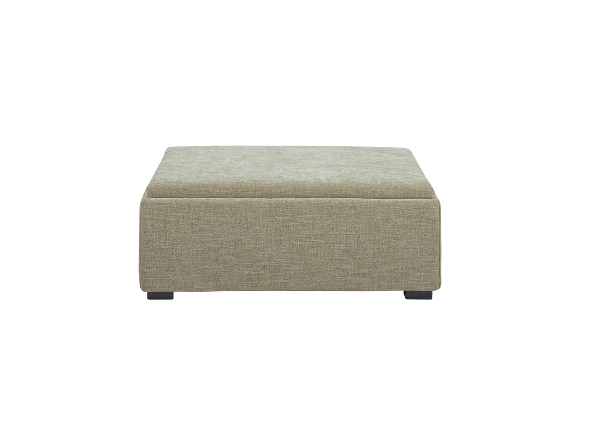Montana Washed Green Storage Ottoman by MOES at Eve Furniture
