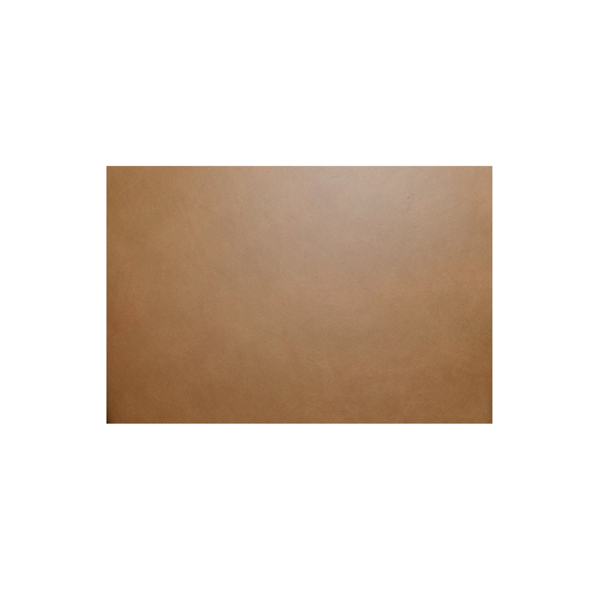 Morel Brown Counter Stool Leather by Moe's Home at Eve Furniture