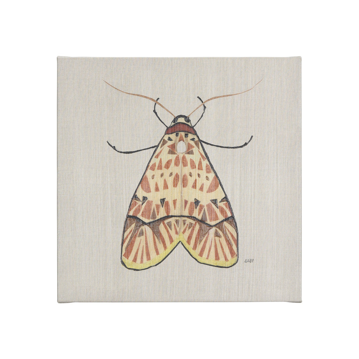 Moth I by Mercana Studio a Hand Embellished Textured Canvas by Mercana at Eve Furniture