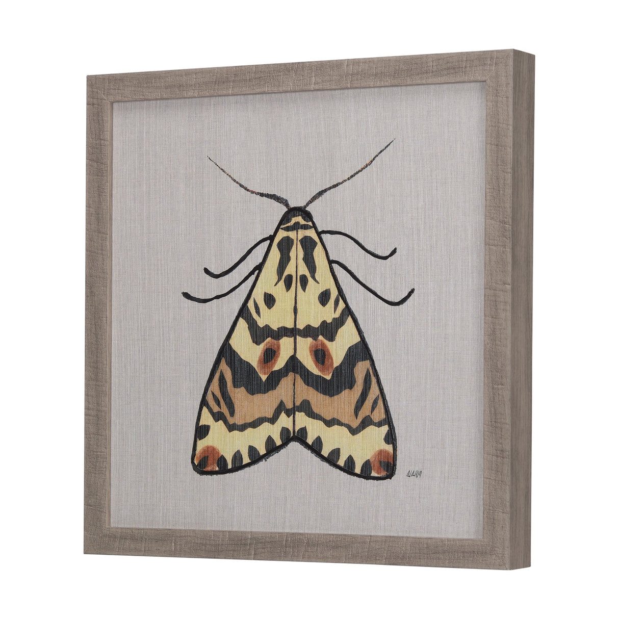 Moth III by Mercana Studio a Hand Embellished Textured Framed Art Print by Mercana at Eve Furniture