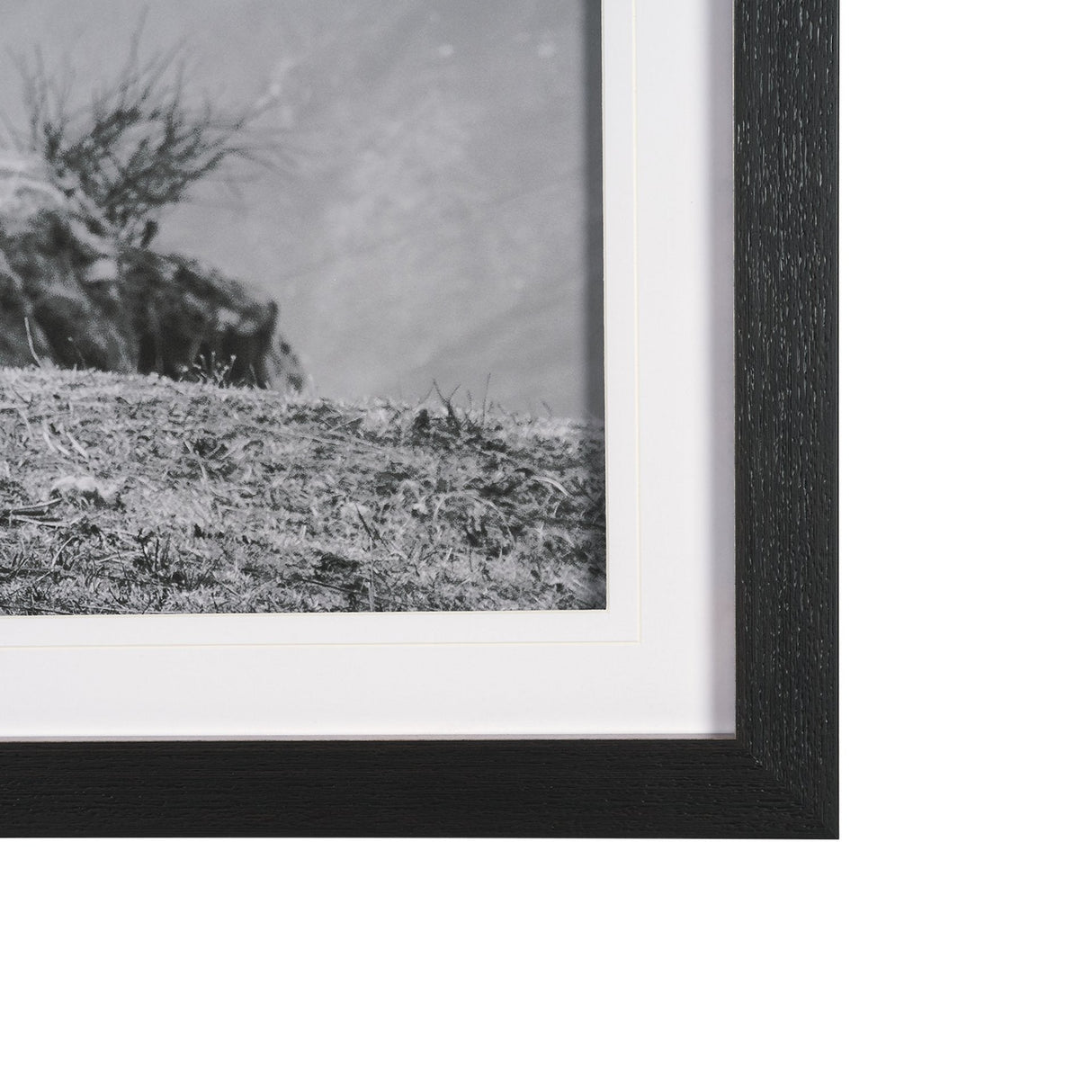 Mountain Majesty - Stance by Matt Roseveare Framed Art Print Matted under Glass by Mercana at Eve Furniture