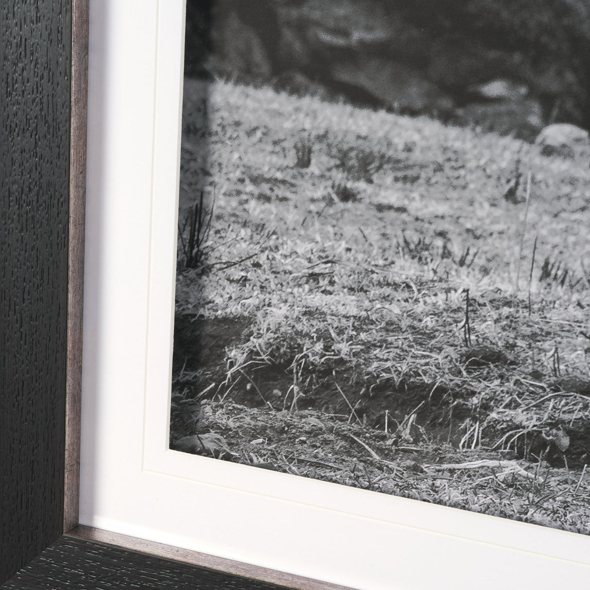 Mountain Majesty - Stance by Matt Roseveare Framed Art Print Matted under Glass by Mercana at Eve Furniture