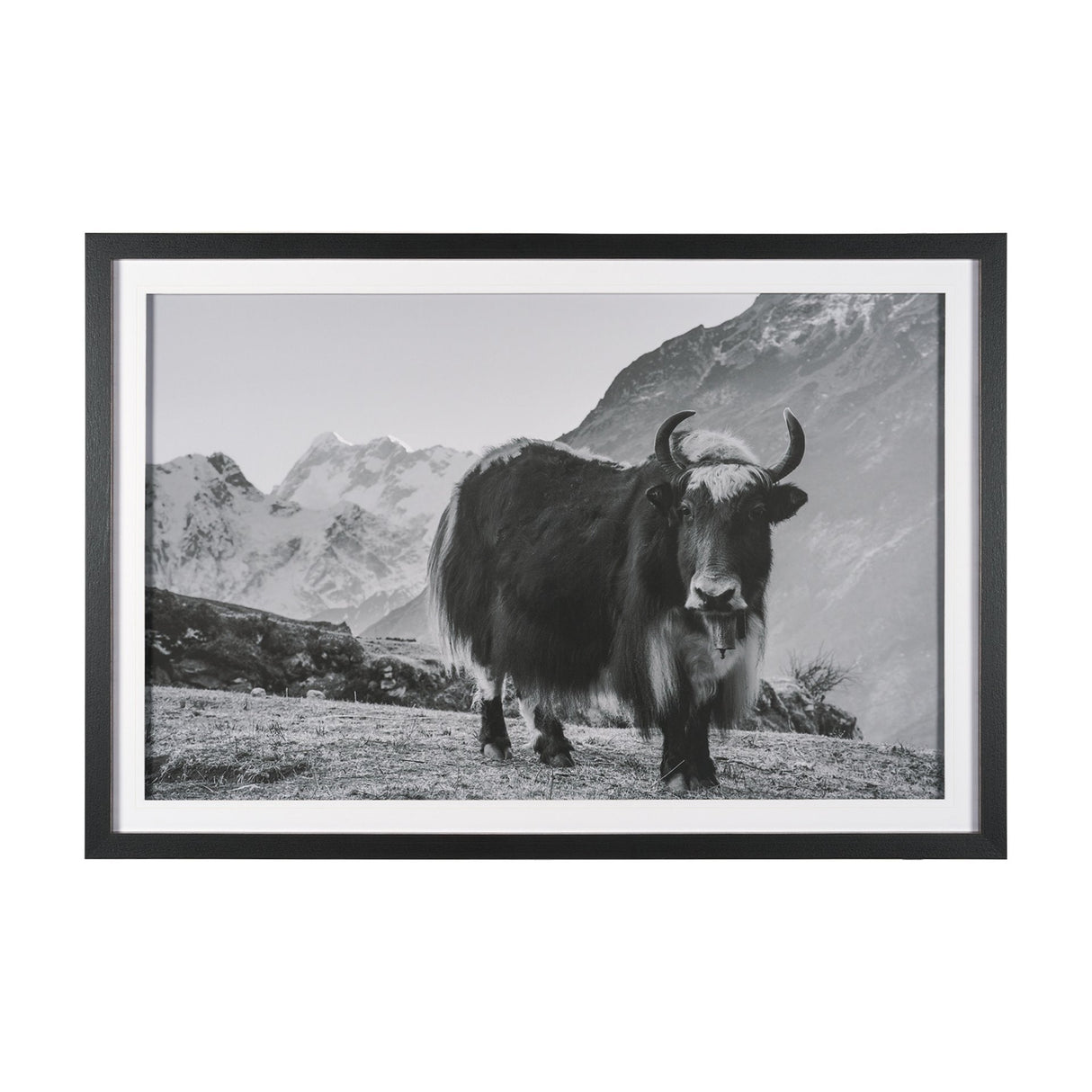 Mountain Majesty - Stance by Matt Roseveare Framed Art Print Matted under Glass by Mercana at Eve Furniture